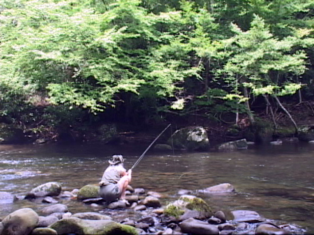 Learning to Crack the Code Trout Fishing in the Smokies or Where Ever