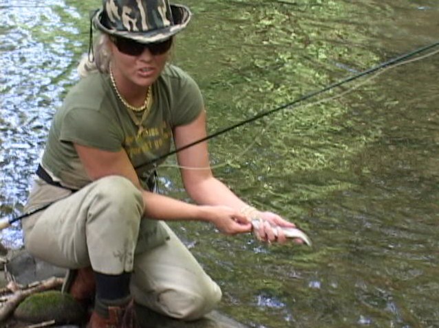 Noland Creek Watershed - Fly Fishing Smoky Mountains